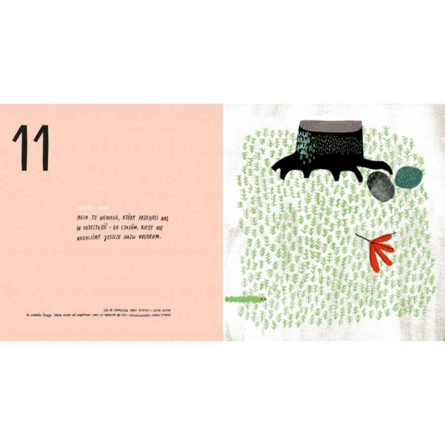 Las zabaw - Esy Floresy 