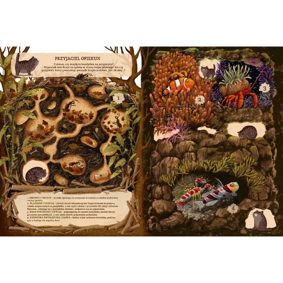 Niezwykłe przyjaźnie. W świecie roślin i zwierząt - Esy Floresy 