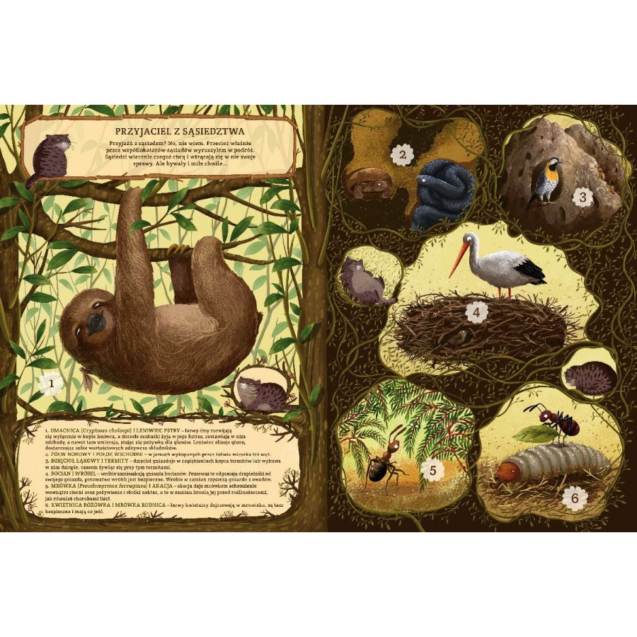 Niezwykłe przyjaźnie. W świecie roślin i zwierząt - Esy Floresy 