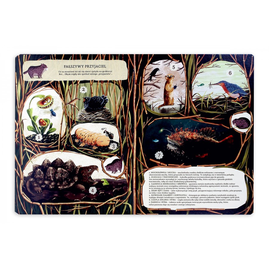 Niezwykłe przyjaźnie. W świecie roślin i zwierząt - Esy Floresy 