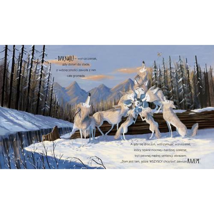 Wilk który się zgubił - Esy Floresy 