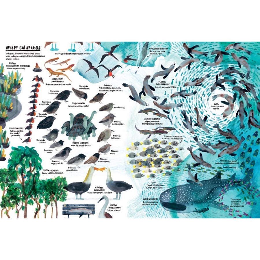 MILION RZECZY - Esy Floresy 