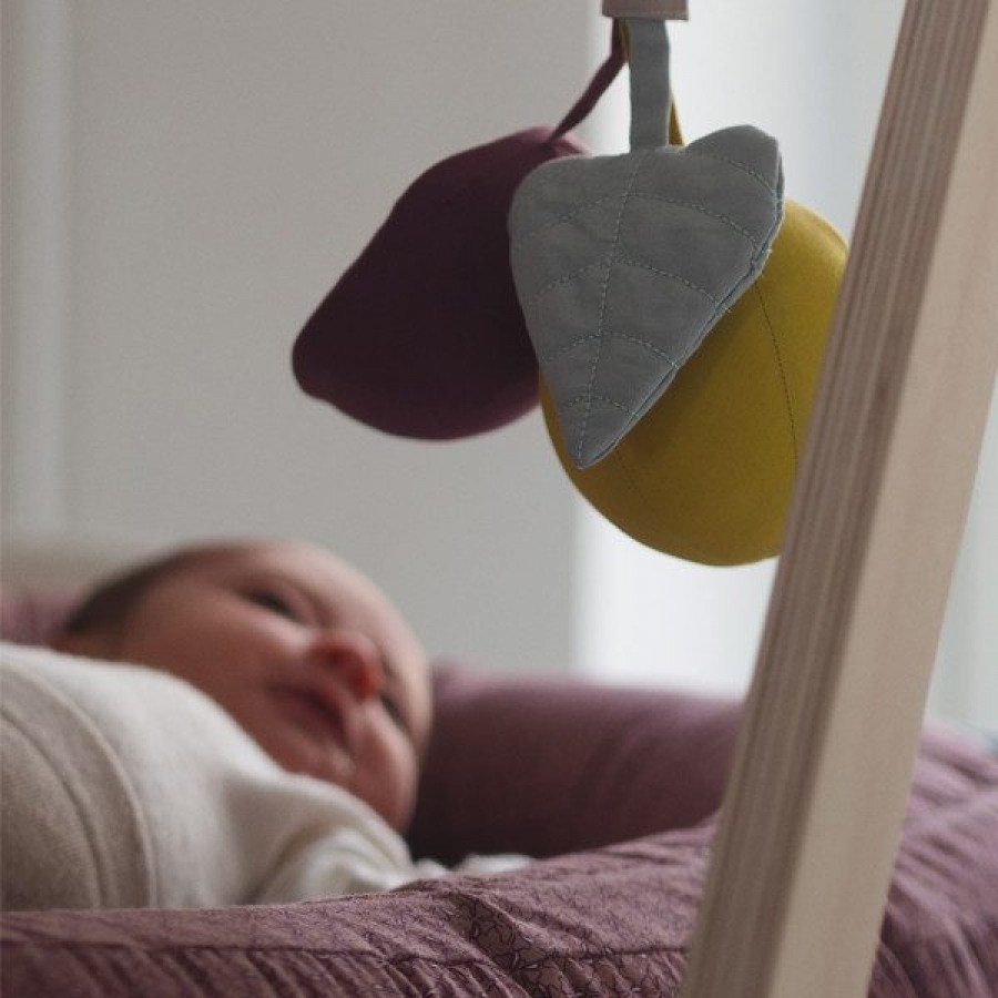 Filibabba - Lusterko sensoryczne Berry Plum - Esy Floresy 