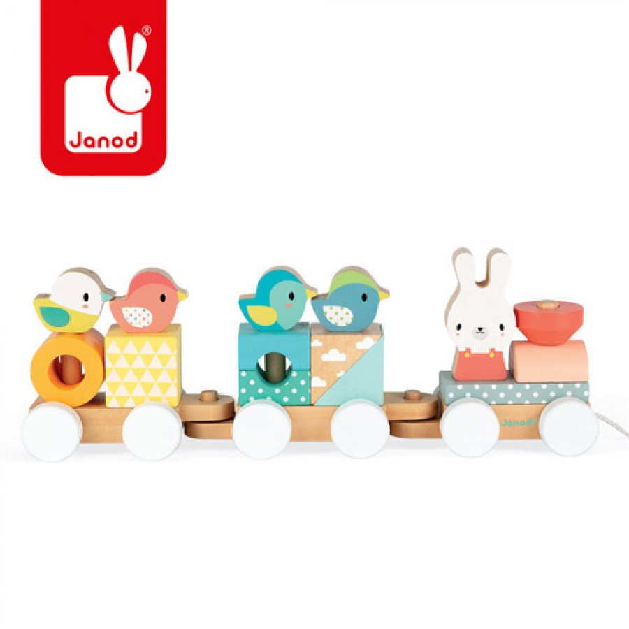 Janod - Pociąg z klockami do ciągnięcia Pure - Esy Floresy 