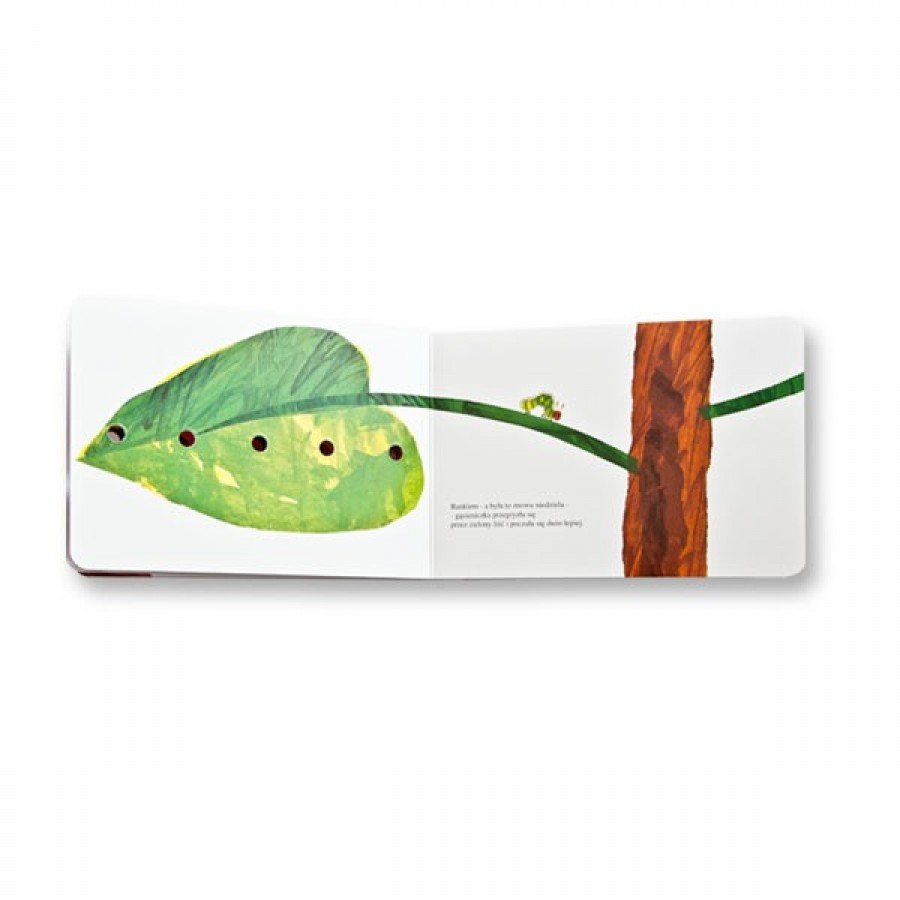 Bardzo głodna gąsienica - Esy Floresy 