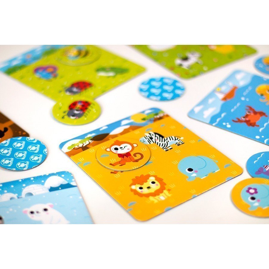 CzuCzulotto Zwierzęta - Esy Floresy 