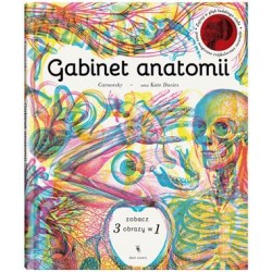 GABINET ANATOMII | Esy Floresy